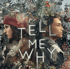告诉我为什么 谓何 Tell Me Why PC中文版 steam年度剧情向互动叙事游戏