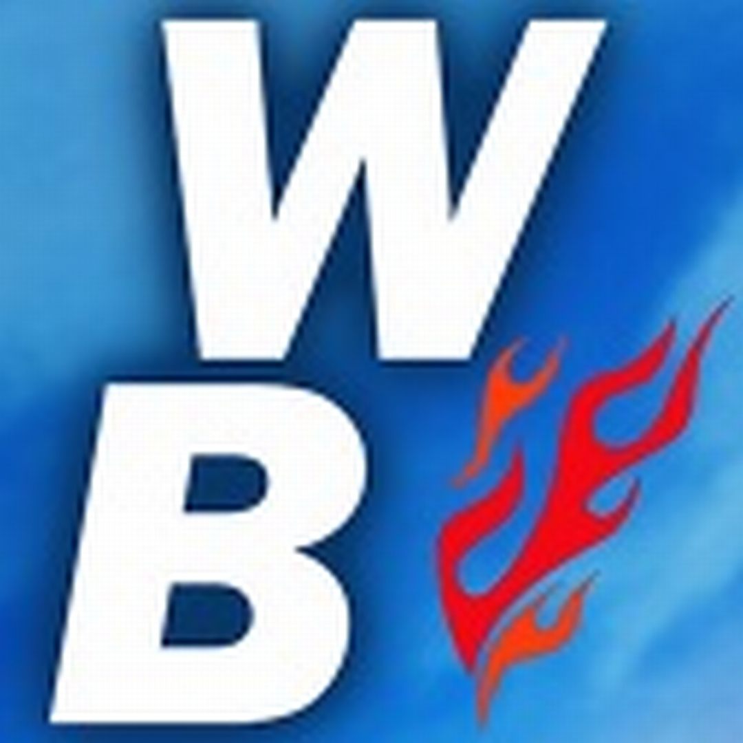 破翼者 Wing Breakers PC版 中文汉化 联机组队