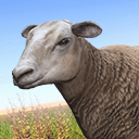 真实农场：黄金版 Real Farm - Gold Edition PC端 中文版 安装指南