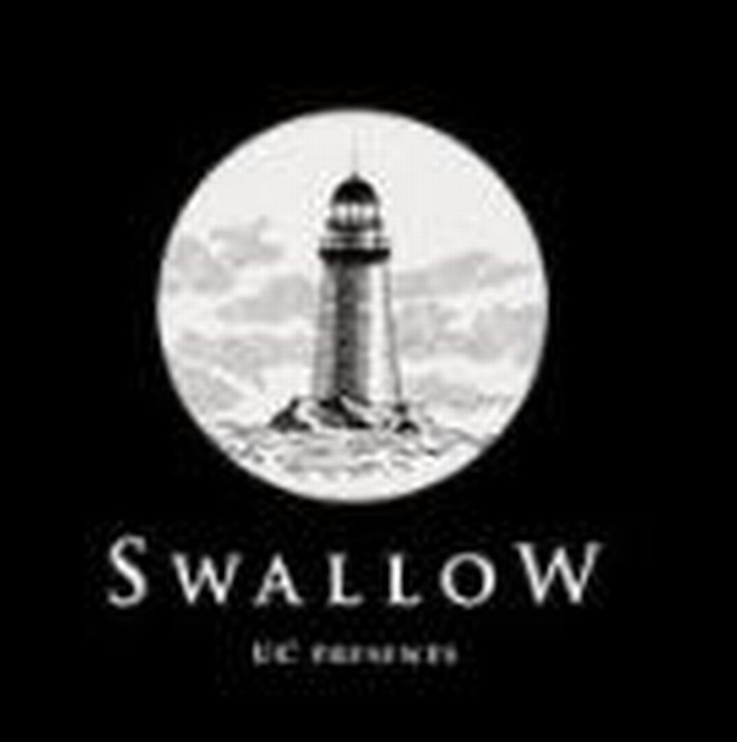 嗜憶 Swallow PC端 中文汉化 完整安装包