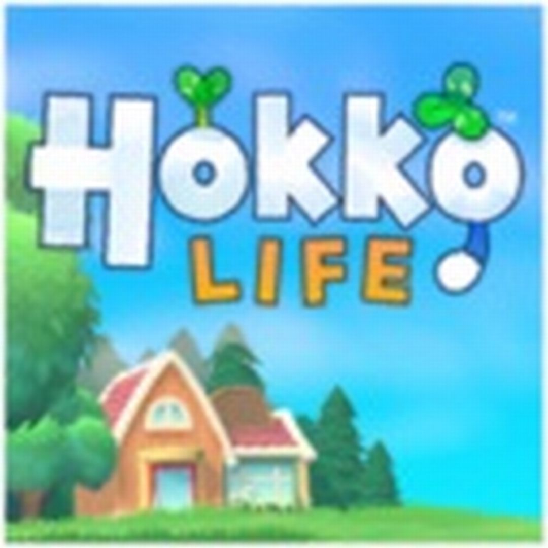 Hokko生活 PC版动森 Hokko Life 中文资源 联机指南 安装教程