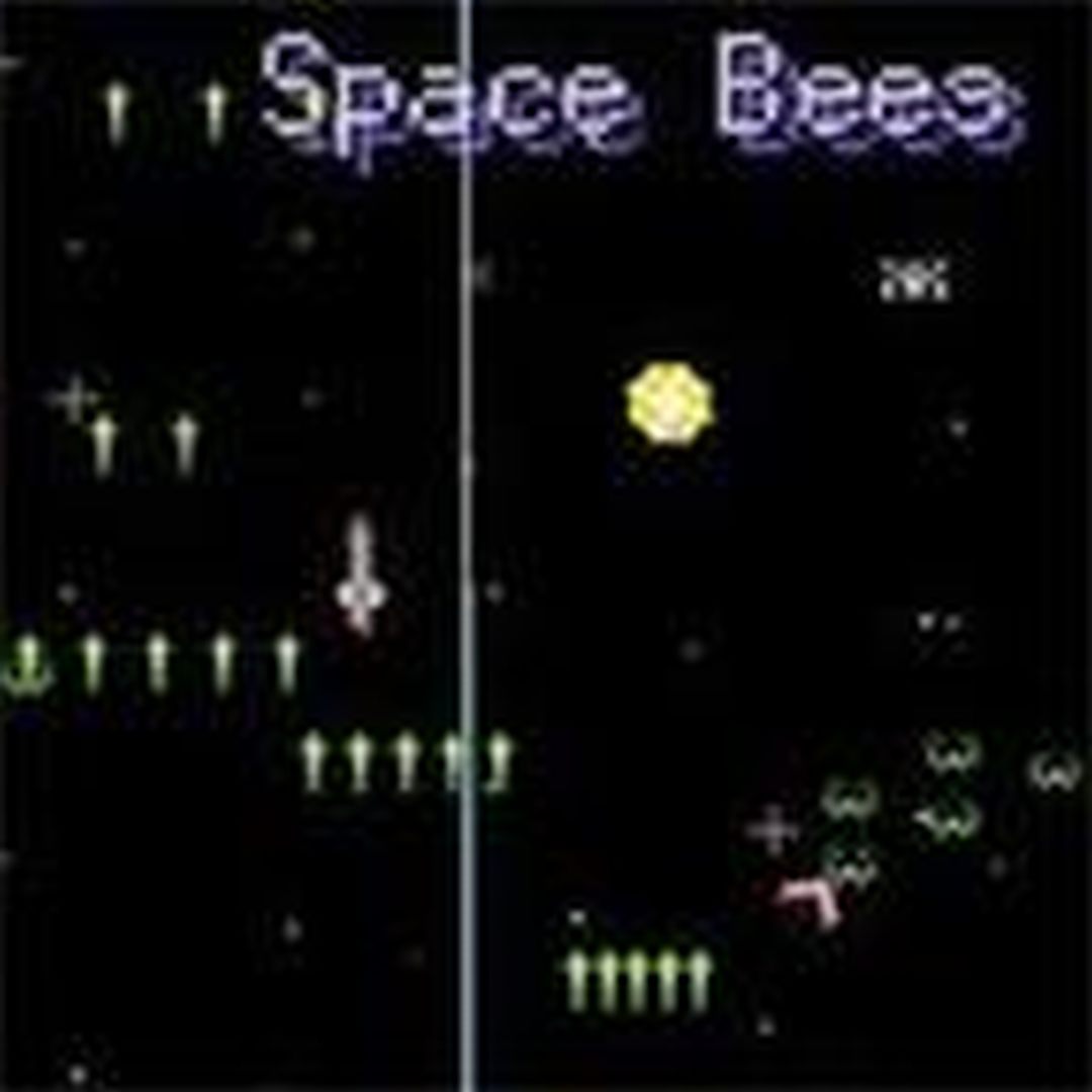 太空蜜蜂/Space Bees