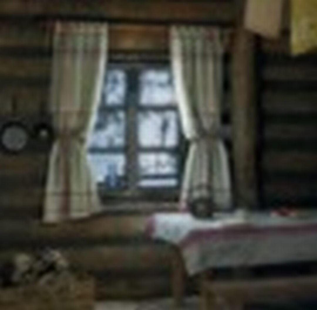 3D拼图：木屋/3D PUZZLE - Wood House